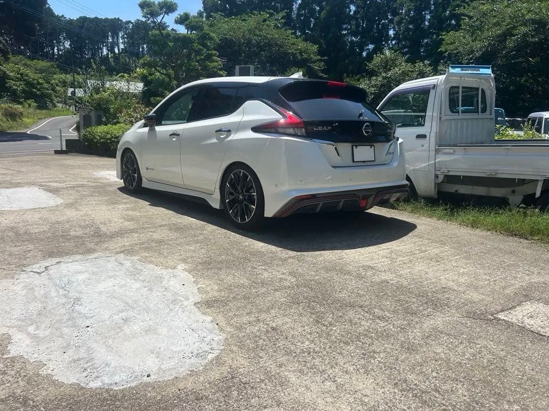 ZE1 AZE0　日産 リーフ　BLITZ DAMPER ZZR　車高調 autobacs_4959094924623