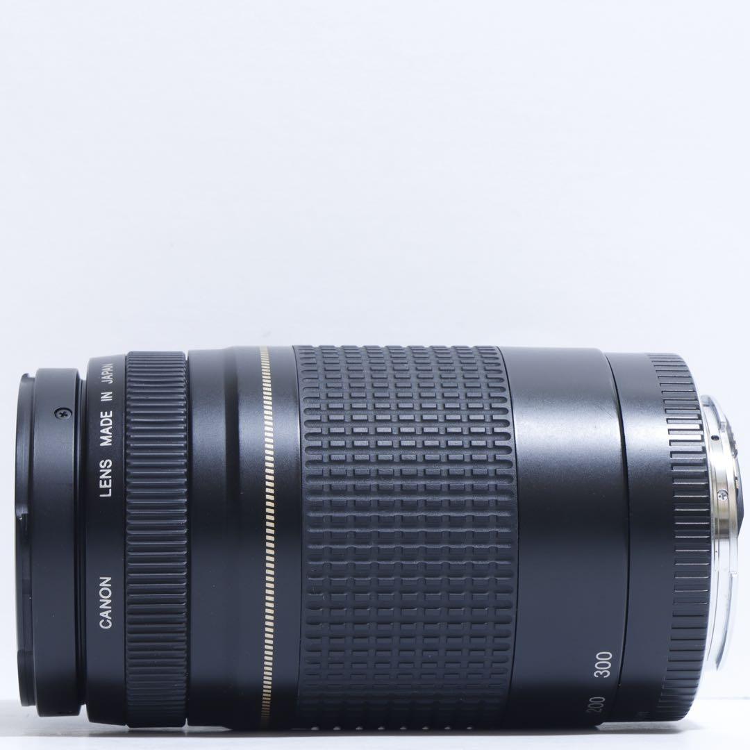 ◇超望遠&高速AF◇ Canon純正 75-300mm II型 望遠レンズ ◇ - メルカリ