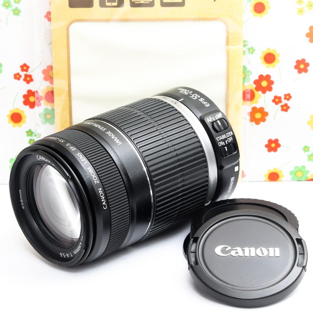 キャノン Canon EF-S 55-250mm IS☆お手軽望遠レンズ♪ - メルカリ