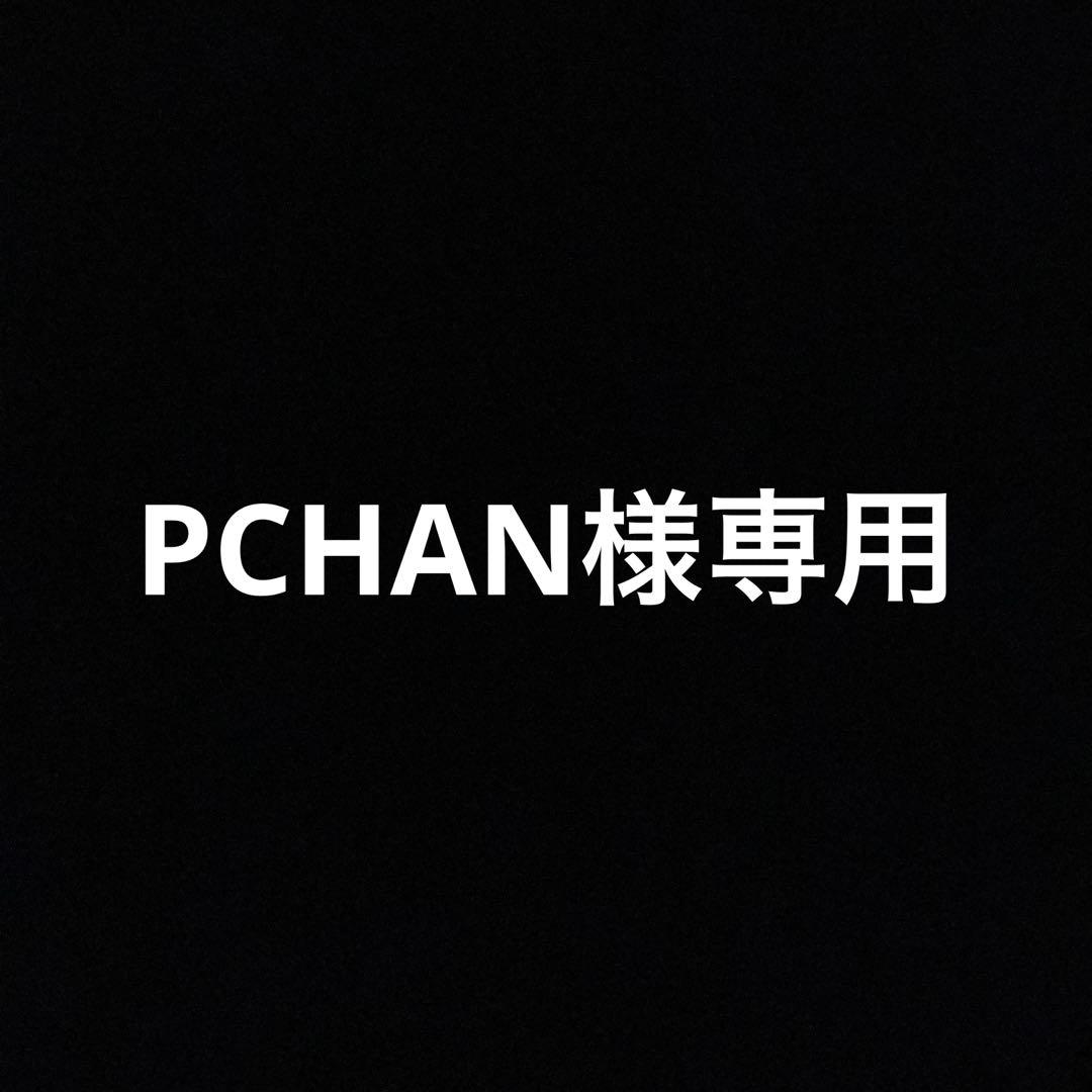 トップス PCHAN ファランナメンズTOP(WHITE): 『チャイハネ』公式通販