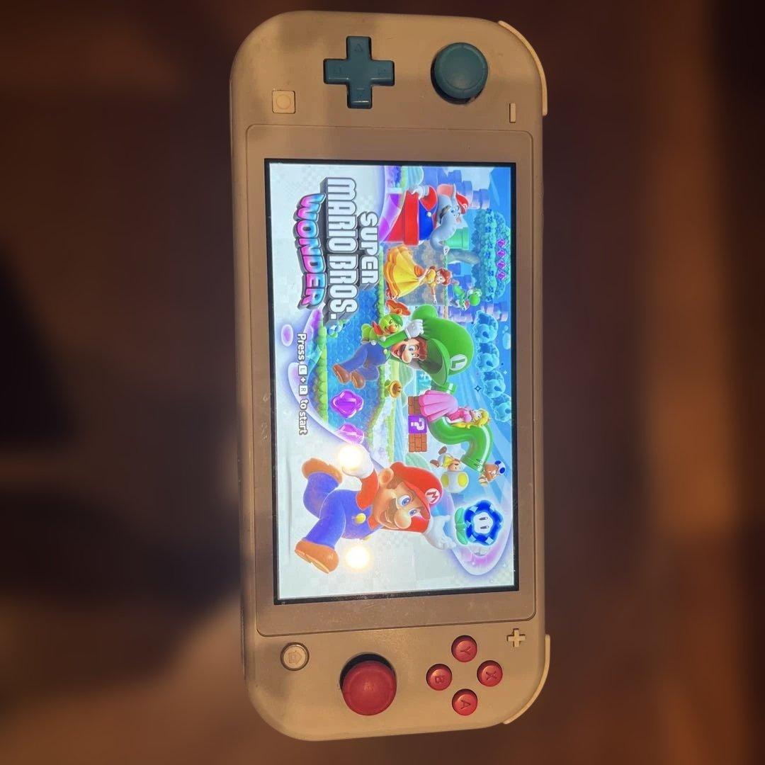 Switchライト本体 充電器.SD付 ジャンク品