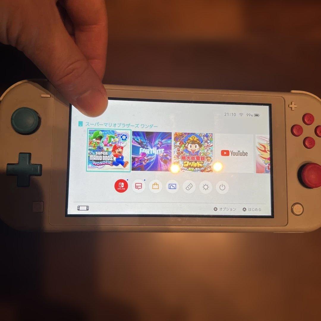 Switchライト本体 充電器.SD付 ジャンク品