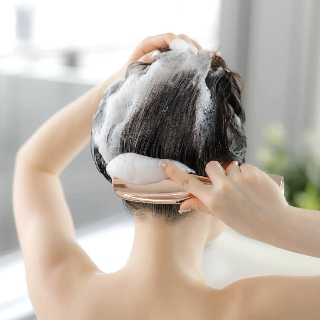 【新品未開封】WiLLAザ ブラシュ レボ　The Brashu revo