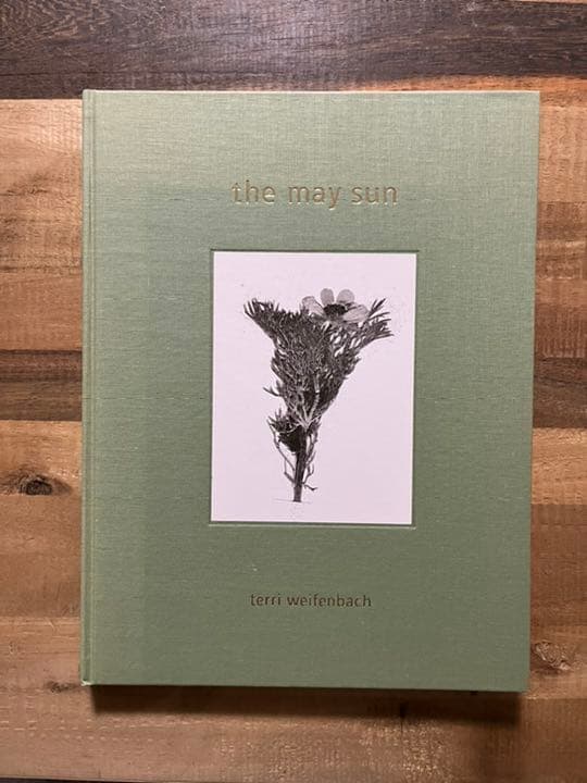 テリ•ワイフェンバックthe may sun-terri weifenbach cuan.co