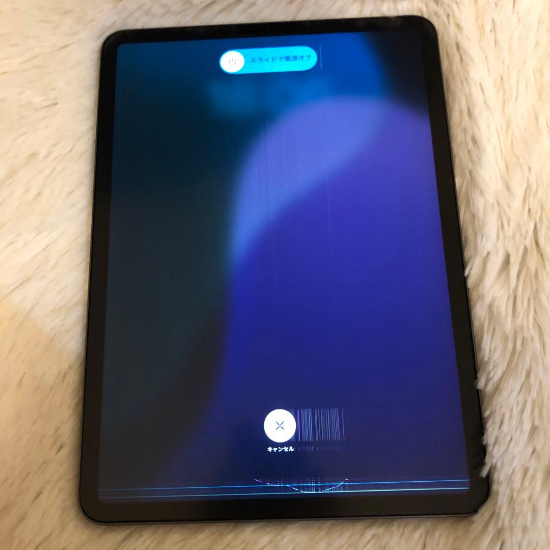 早い者勝ち】iPad Pro 11インチ 256GB SIMフリー 【即発送】