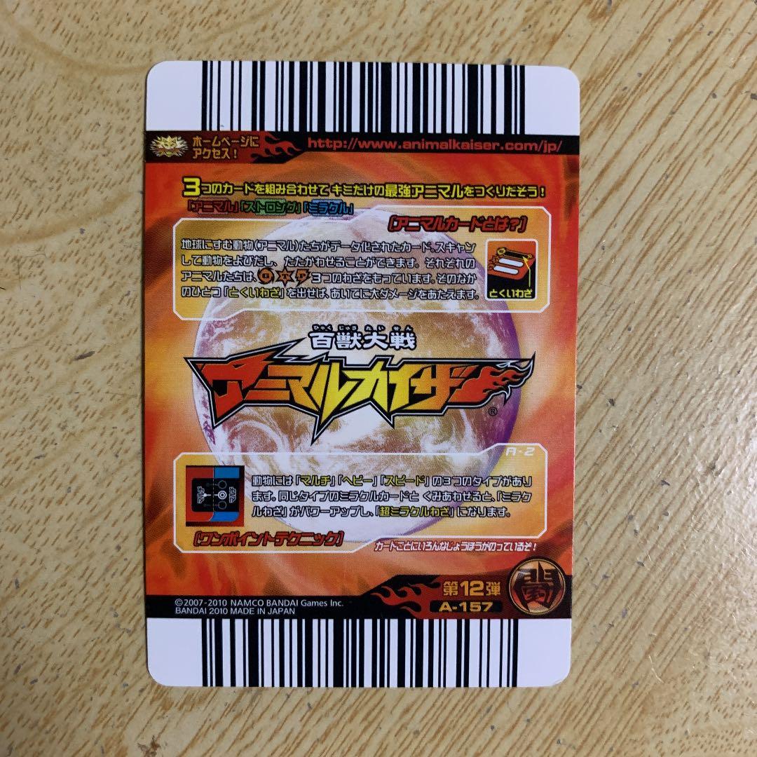 アニマルカイザー(レグルス) - メルカリ