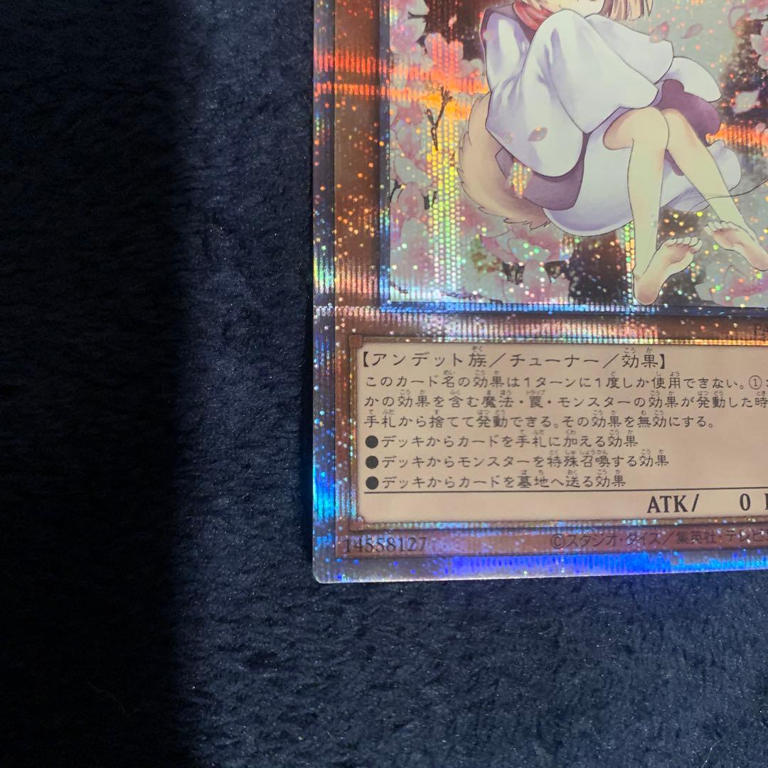 遊戯王 灰流うらら プリズマティックシークレットレア 絵違い はる