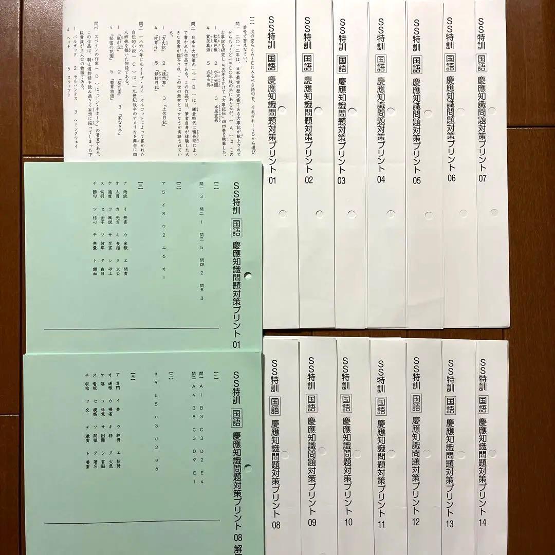 サピックス SS特訓 国語 慶應知識問題対策プリント01-14 - メルカリ