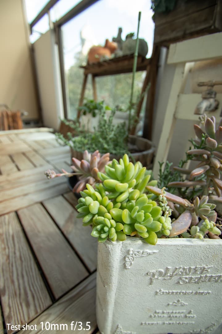 Canon EF-S 10-22mm f3.5-4.5 USM 動作確認済