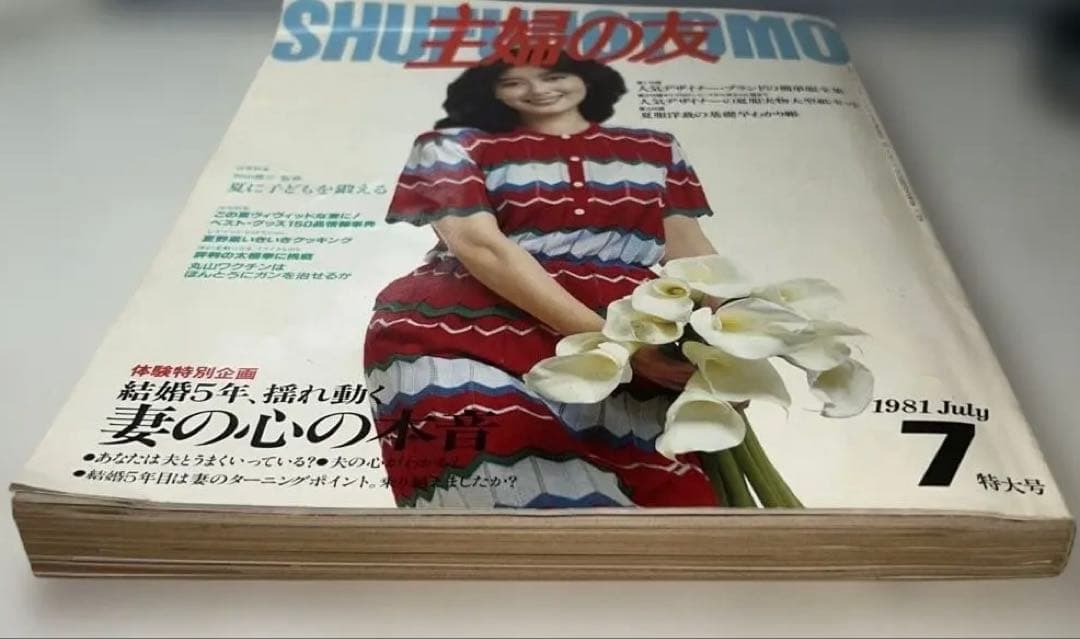 昭和レトロ【1981年7月1日発行】第65巻第7号通算785号主婦の友7月特大号