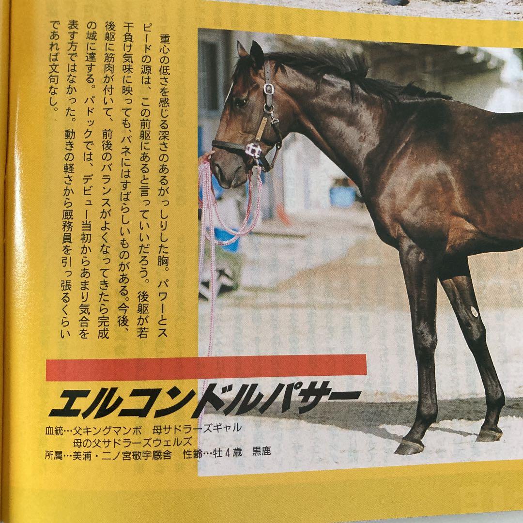 Gallopギャロップ 1998年10月毎日王冠 京都大賞典