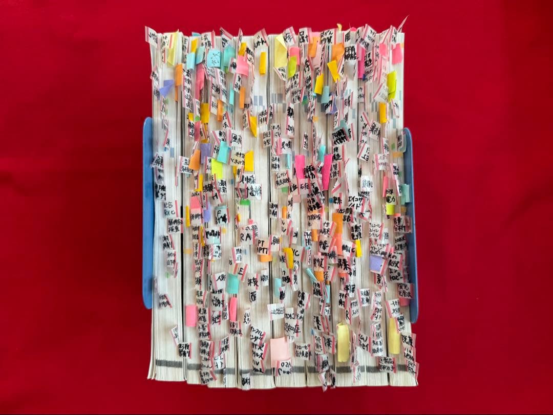 薬剤師国家試験対策参考書 改訂第14版 第110回 国家試験対策 薬学ゼミナール 第110回薬剤師国家試験対策参考書改訂第14版 薬ゼミ青本・青問セット