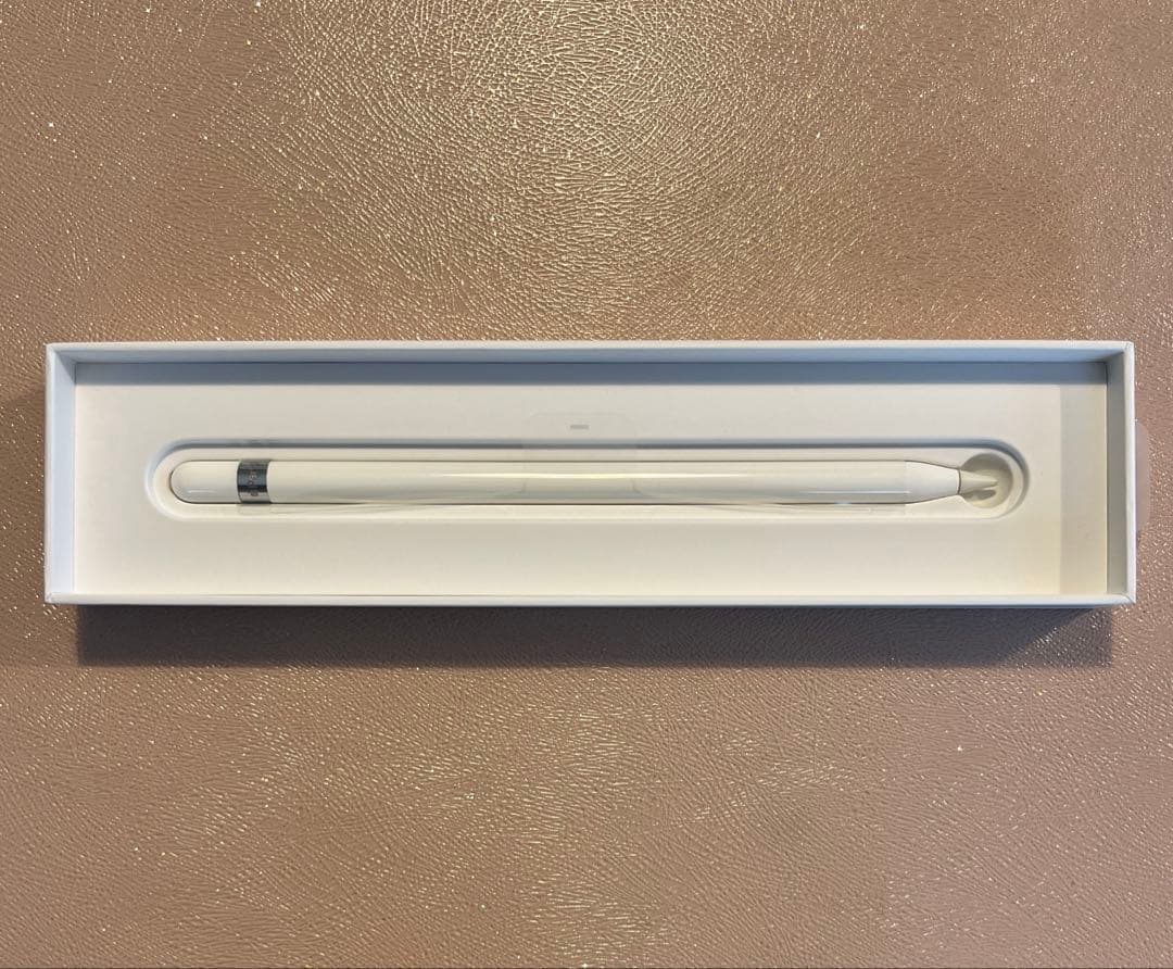 【中古美品)】Apple Pencil 第一世代(Lightning充電) Apple Pencil 充電コネクタ 第1世代 Lightningアダプタ メス アップル