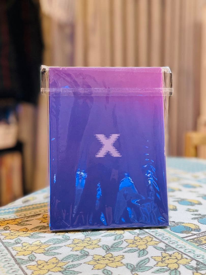 SEO IN GUK IN THE X DVD 2枚組 日本デビュー10周年