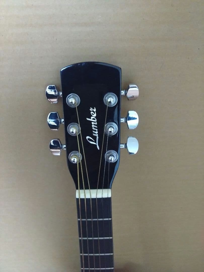 アコースティックミニギター LumberL100MNA ケース他付属品5点