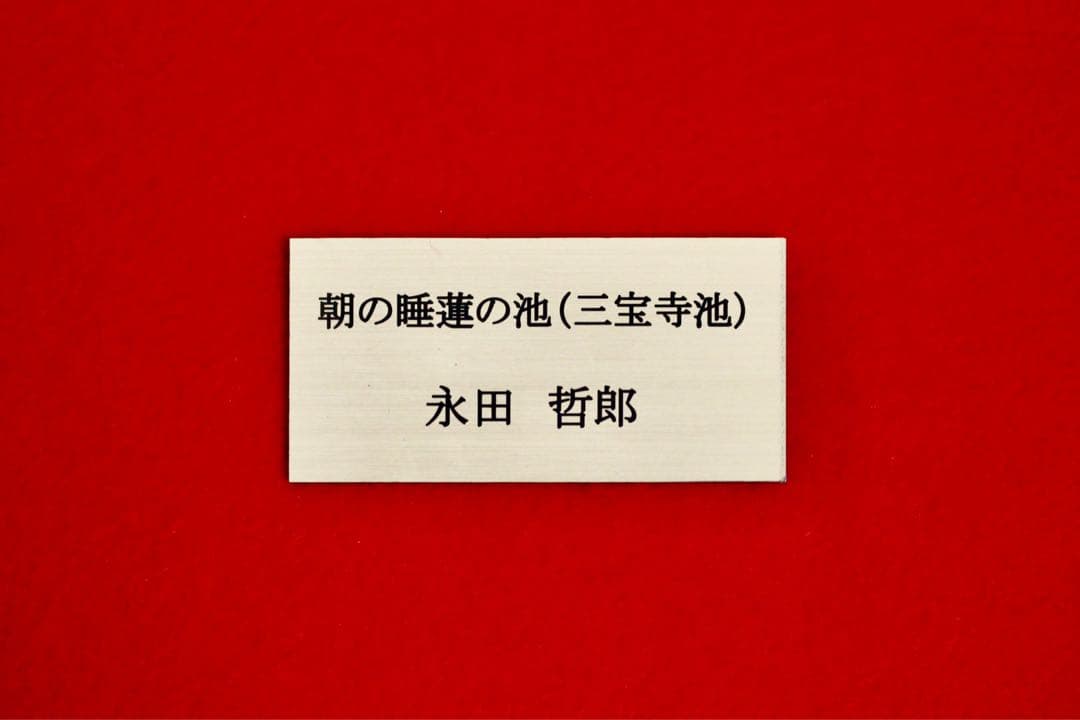 花乙女コレクション【永田哲郎　朝の睡蓮の池】購入金額より60％お値引き！！