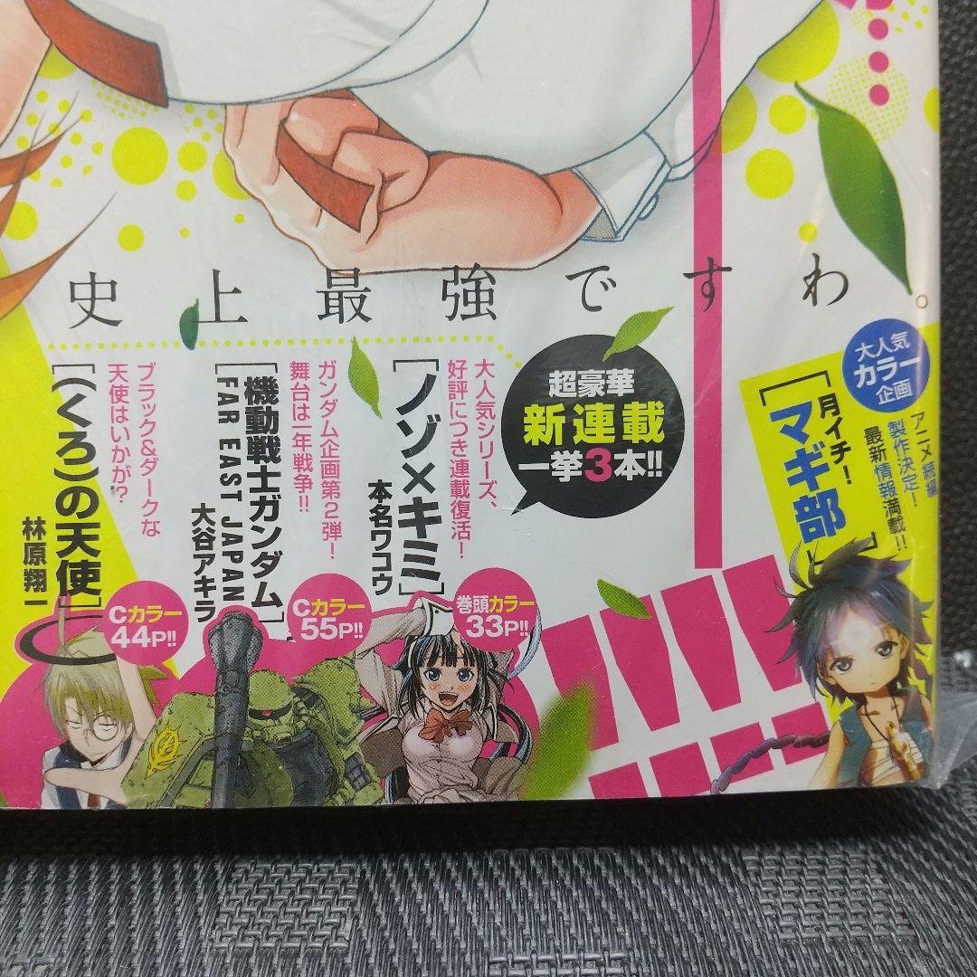 少年サンデーS 2013年7月号※史上最強の弟子ケンイチ※の美羽クリアファイル