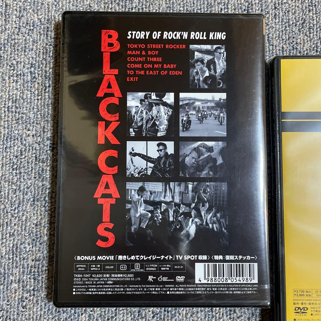 ブラックキャッツ DVD 新品 ロカビリー クリームソーダ ピンクドラゴン