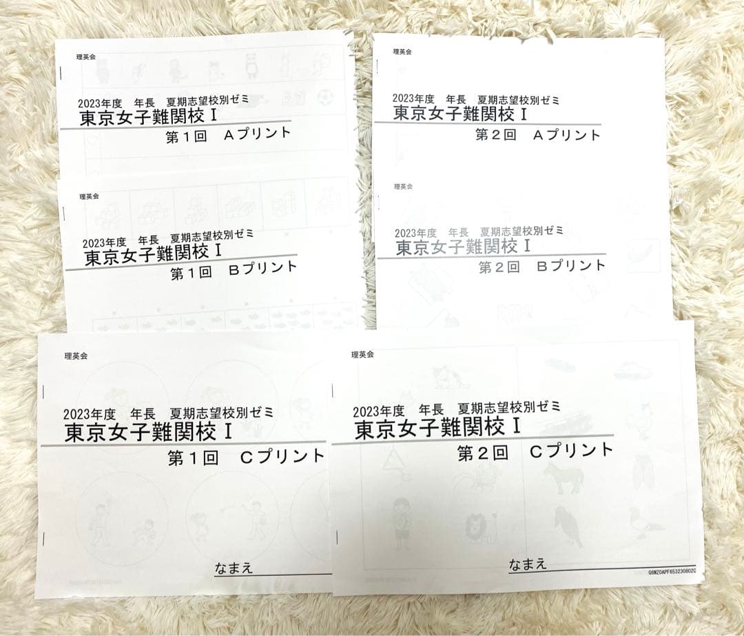 《訳あり》理英会プリント（問題無し）　東京女子難関校　夏期志望校別ゼミ