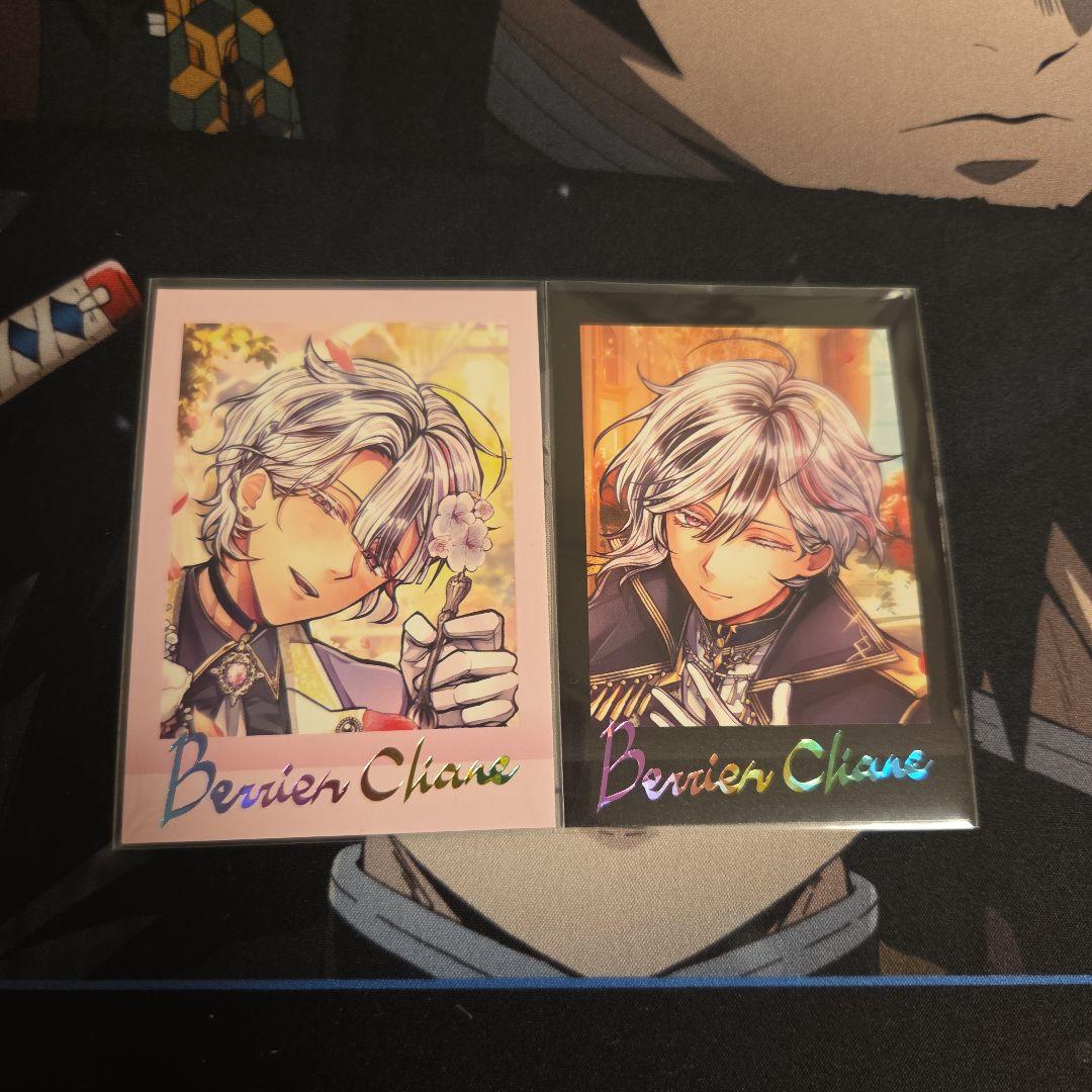 あくねこ ベリアン ぱしゃこれ 2枚セット - メルカリ