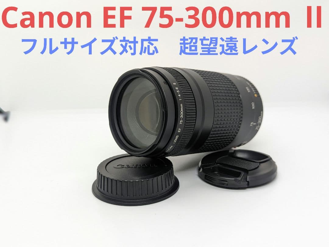 8月23日限定特価♪【超望遠レンズ】Canon EF 75-300mm Ⅱ Amazon.com : Canon 75-300mm F4-5.6 III EF Lens (Non-USM) : Camera