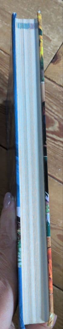 ＊ホメオパシー大百科事典＊新ビジュアル版＊