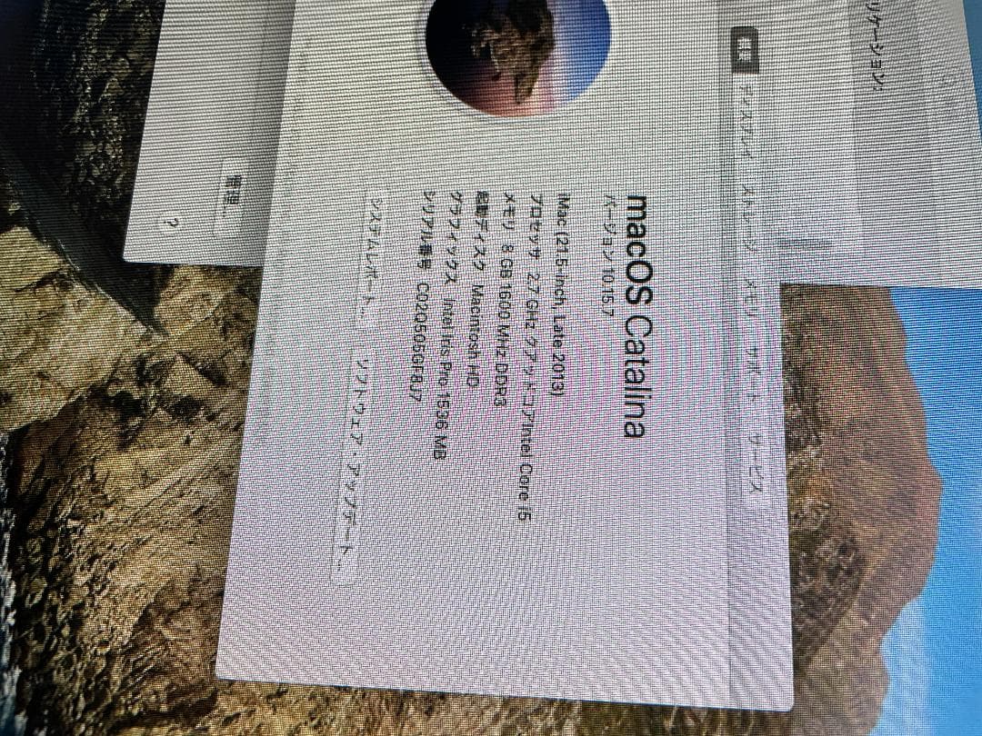 美品 iMac 21.5inch Late2013 core i5 1TB