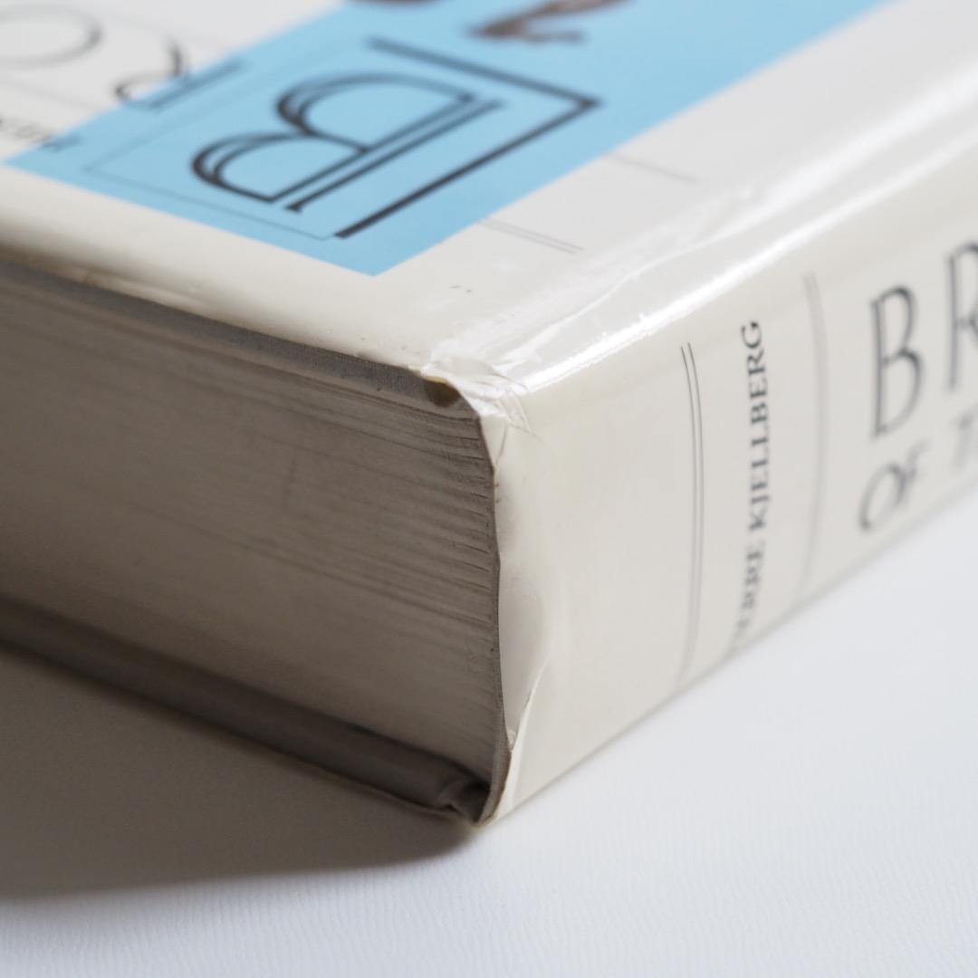 ブロンズ 画集 専門書