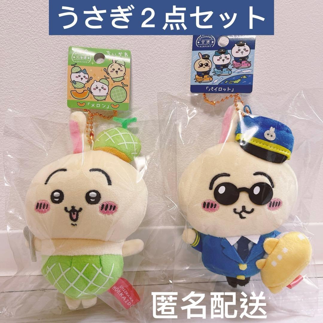 うさぎ二点セット 北海道限定メロン 空港限定 パイロット ぬいぐるみ