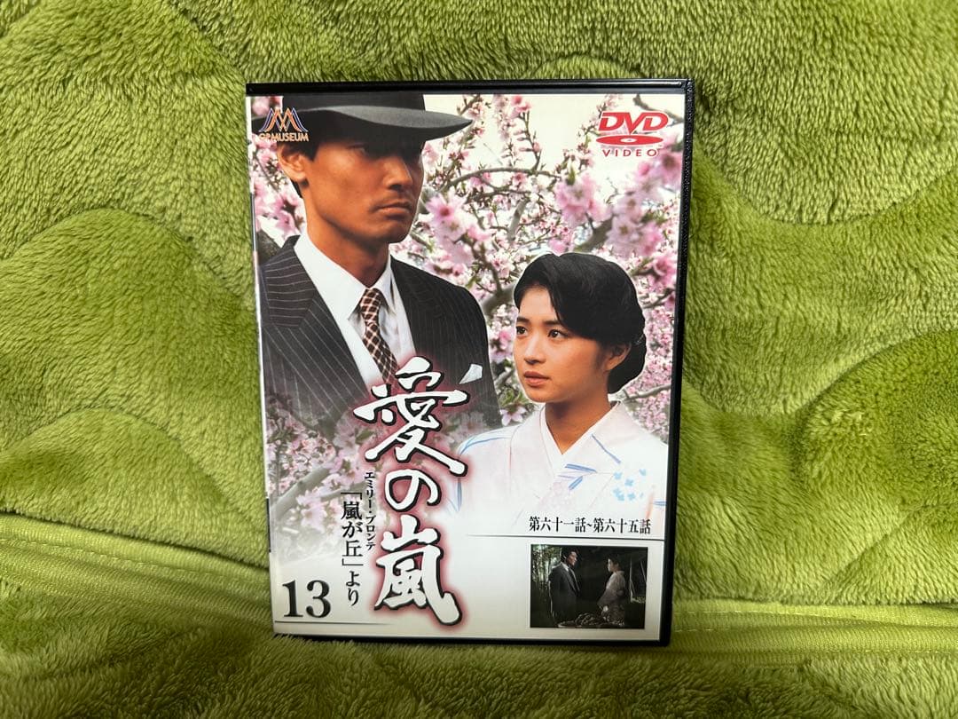 愛の嵐 DVD 全13巻セット