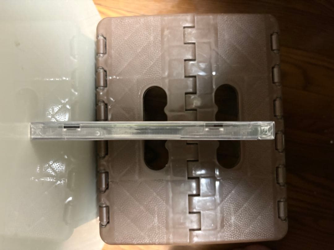 THE BUGZY EXTERMINATION IMPOSSIBLE ※値下げ中