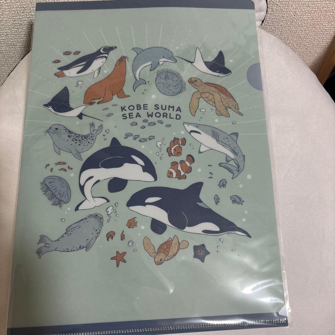 神戸須磨シーワールド オープン記念福袋限定 シャチ オルカ グッズ