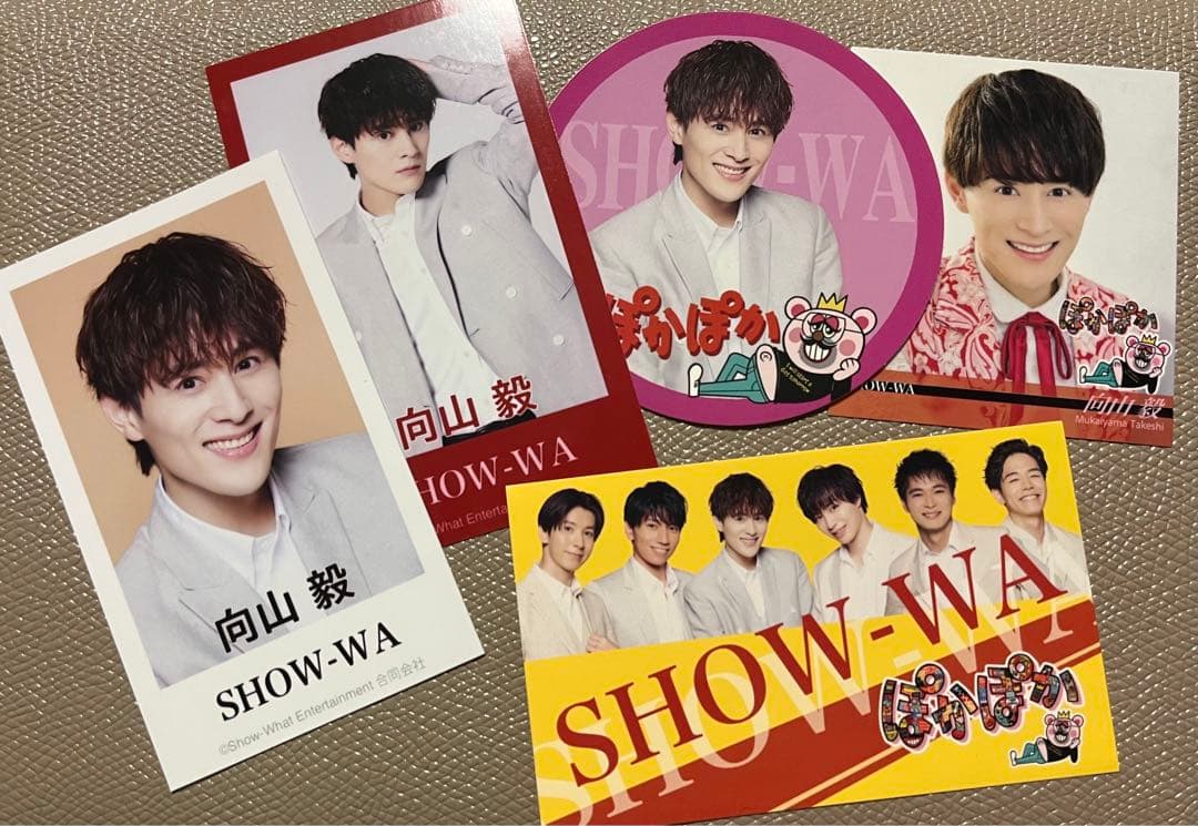 SHOW-WA 向山毅 ステッカー トレカ ぽかぽか - メルカリ