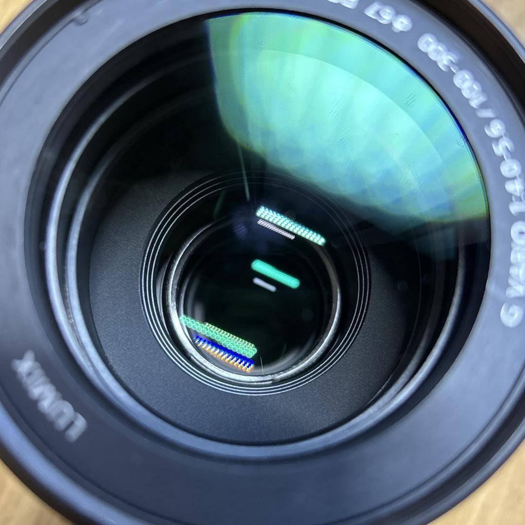 Panasonic LUMIX 100-300mm F4.0-5.6 ズームレン