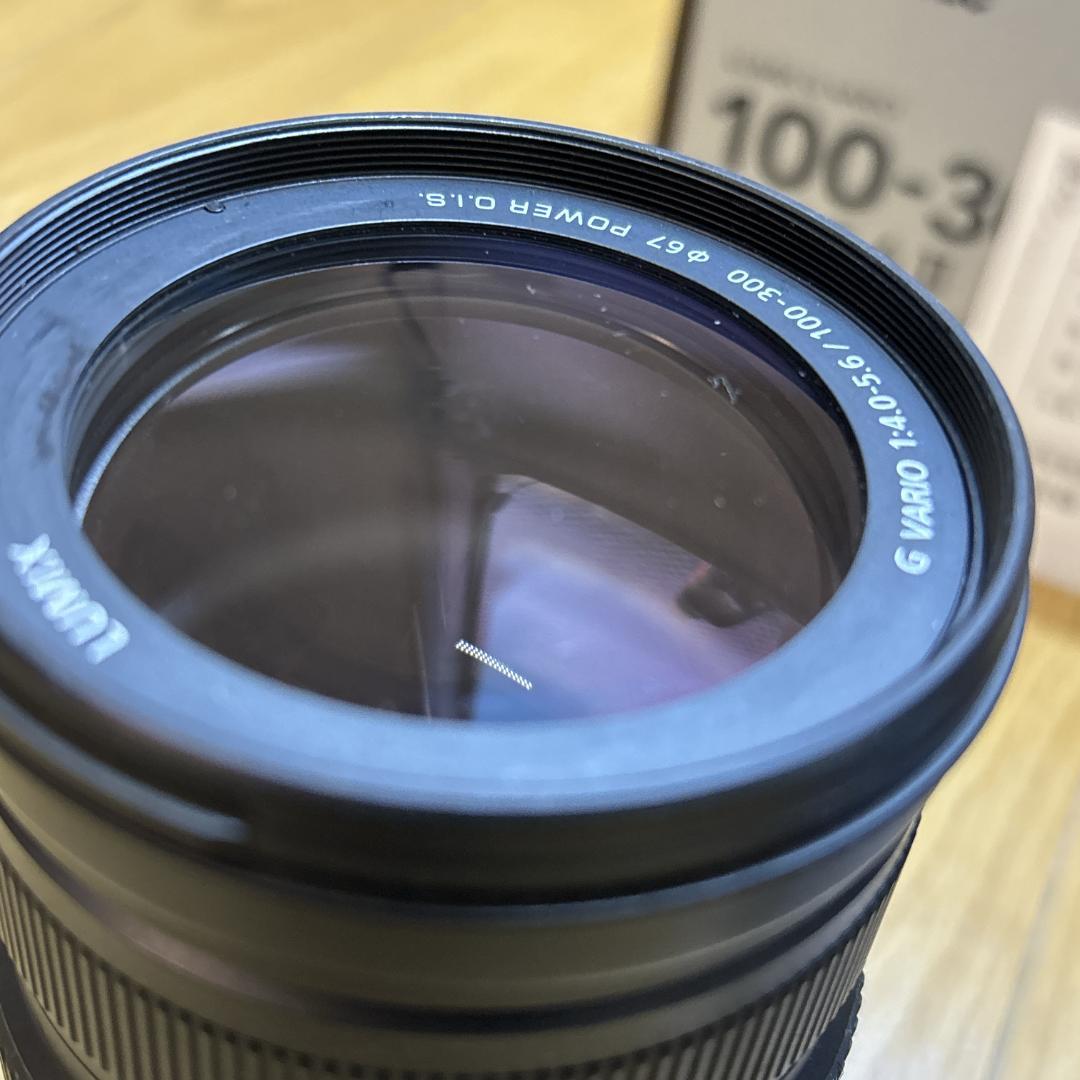 Panasonic LUMIX 100-300mm F4.0-5.6 ズームレン