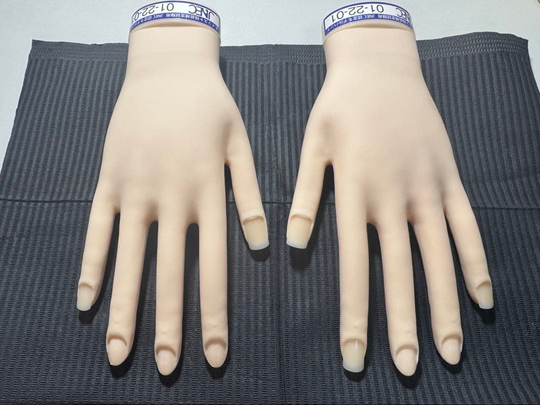 JNEC 認定モデルハンド 骨折なし