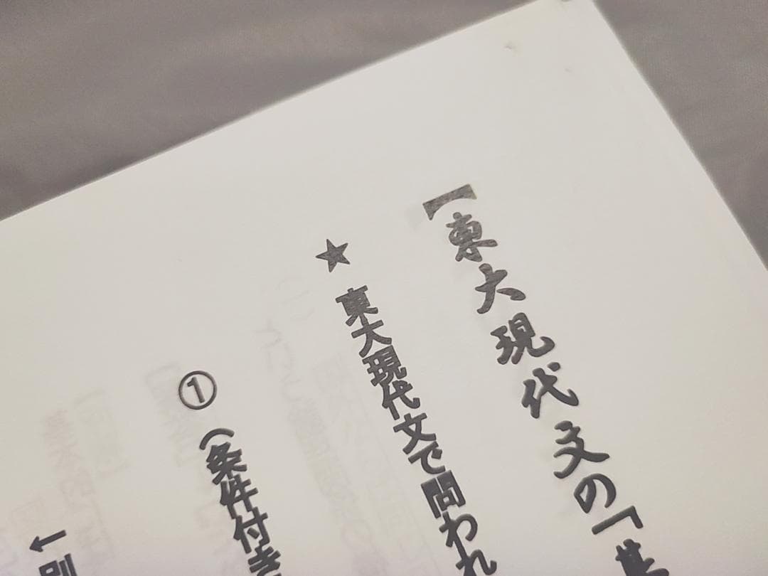 東進 東大特進 東大特進現代文 林修先生 23年 プリントフルセット 駿台