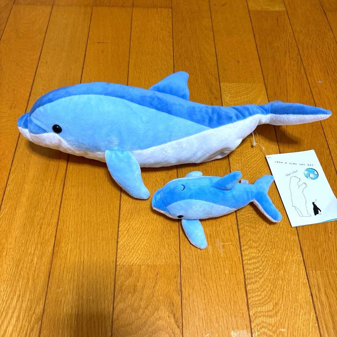 タグ付き 新江ノ島水族館 ぬいぐるみ - メルカリ