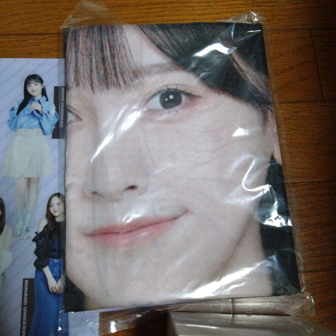乃木坂46 池田瑛紗 福袋A Luckybag グッズのみ のぼり ペンライト