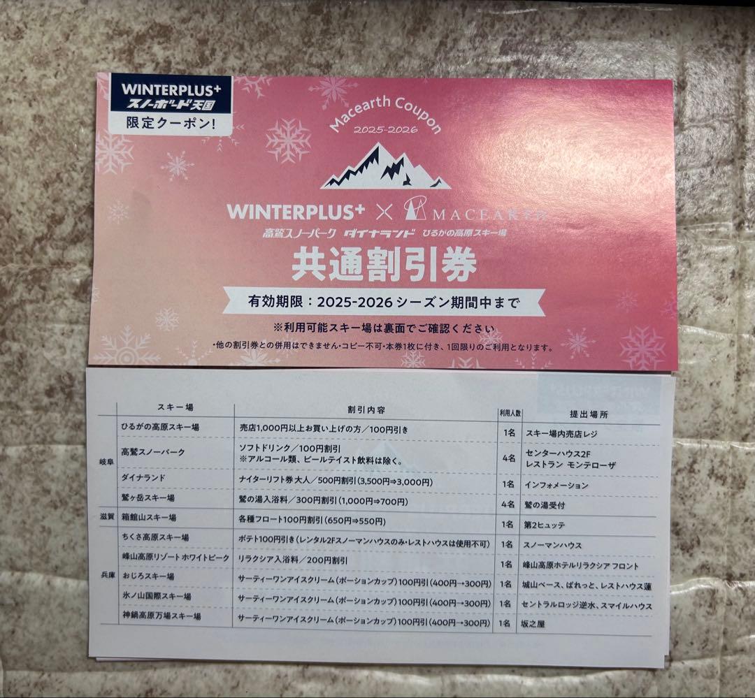 高鷲スノーパーク ダイナランド 共通リフト券 - メルカリ