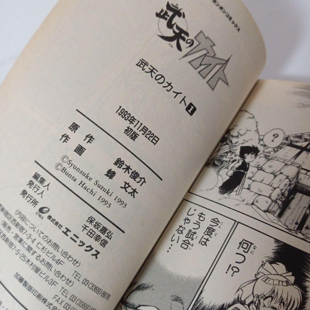 武天のカイト 1巻 初版 希少 廃盤 コミック マンガ 漫画 ガンガン
