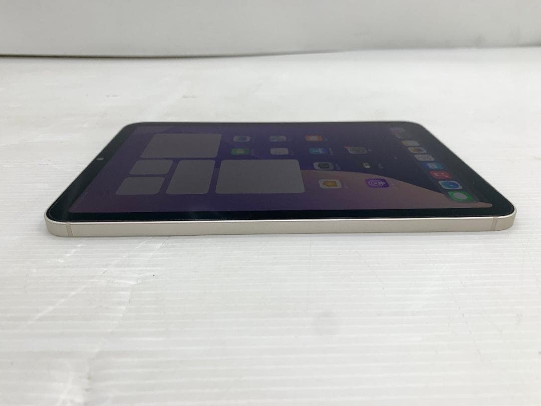 iPad mini 8.3in 6世代 Wi-Fi+Cellular 256GB