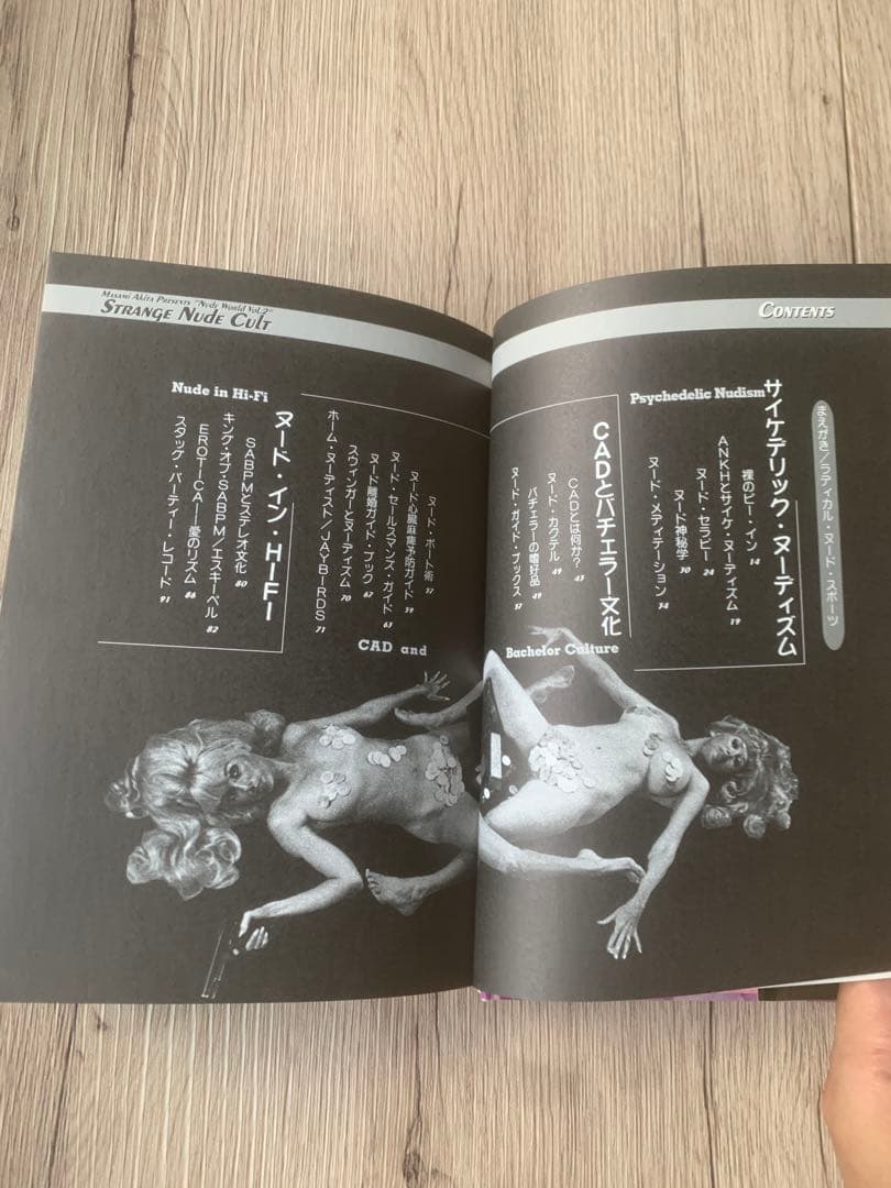 STRANGE NUDE CULT 秋田昌美 Merzbow 1999年初版