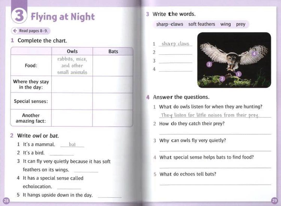 Read and Discover 20冊セット 科学 英語 絵本 Oxford