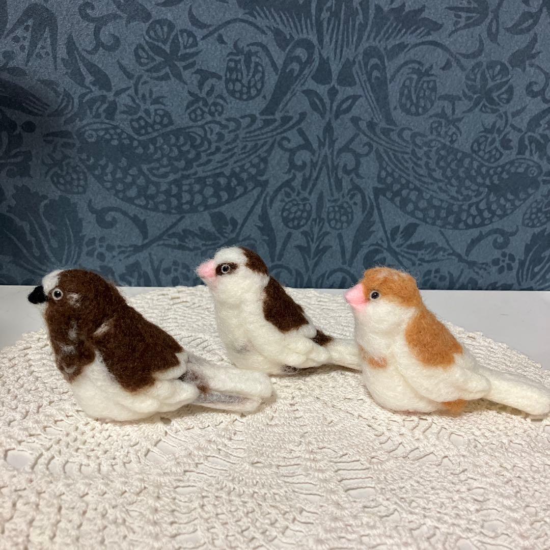 リクエストNO.2610☆十姉妹☆実物大☆6点セット