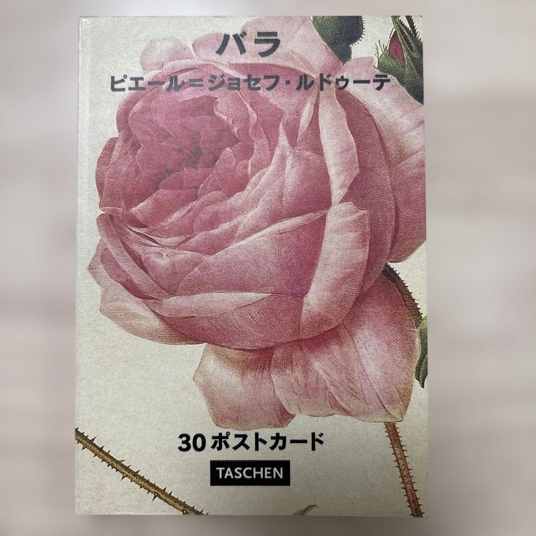 バラ 30ポストカード アサノスタンプ/asano stamp | ポストカード バラ/Post Cardの