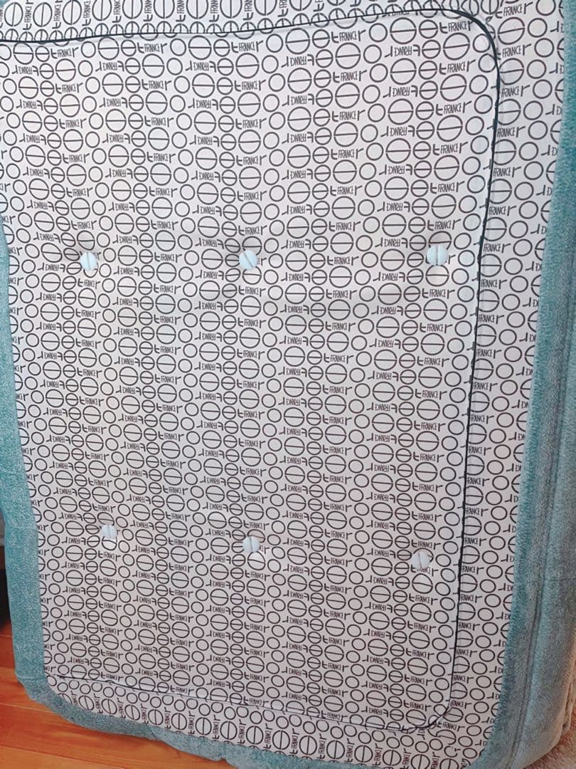 SALE❗️ligne roset ROSETTOGO 2P グリーン ブルー - メルカリ