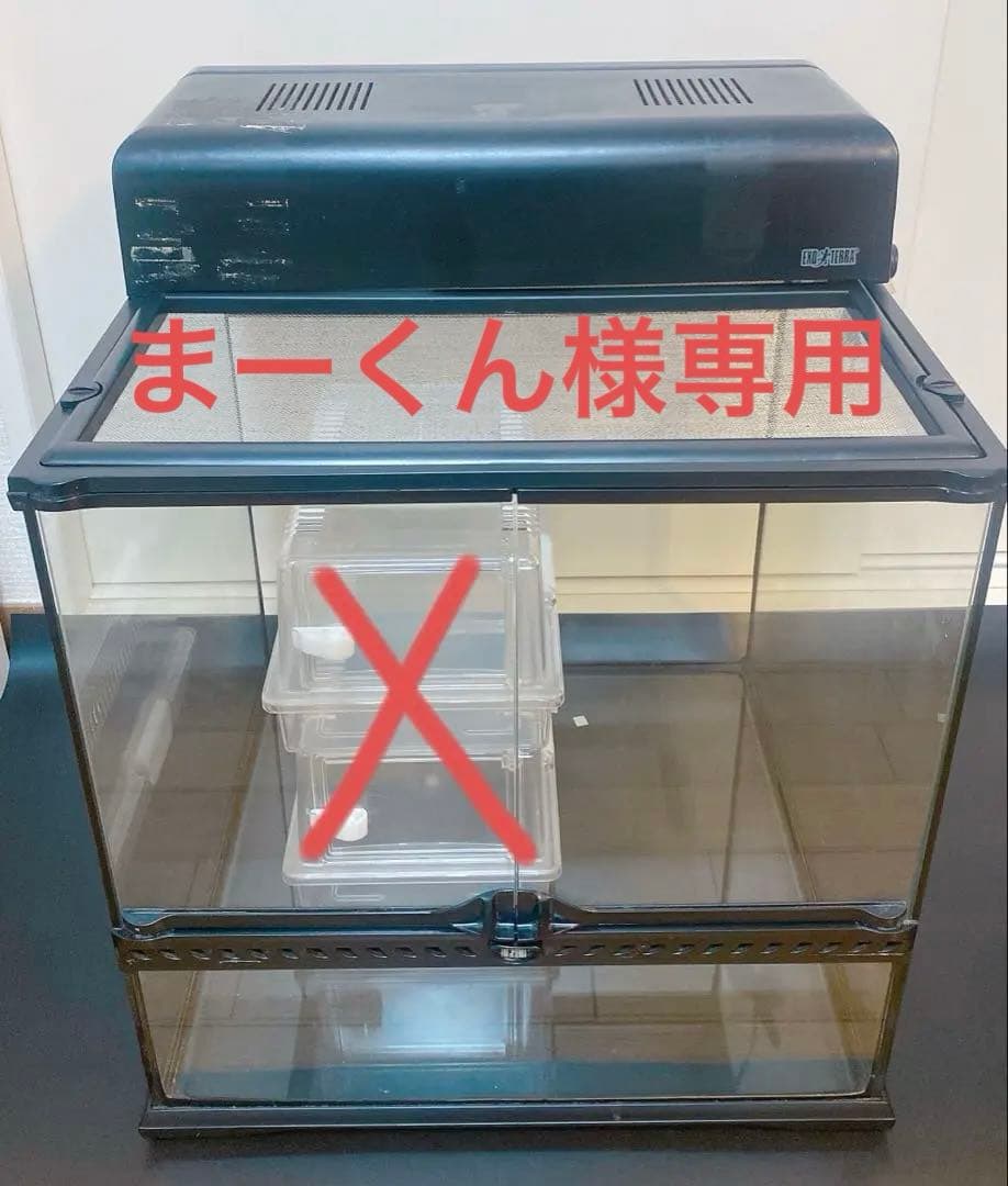 まーくん　 グラステラリウム4545 コンパクトトップ　セット グラステラリウム 4545 PT2605 GEX(ジェックス) | TOPCREATE