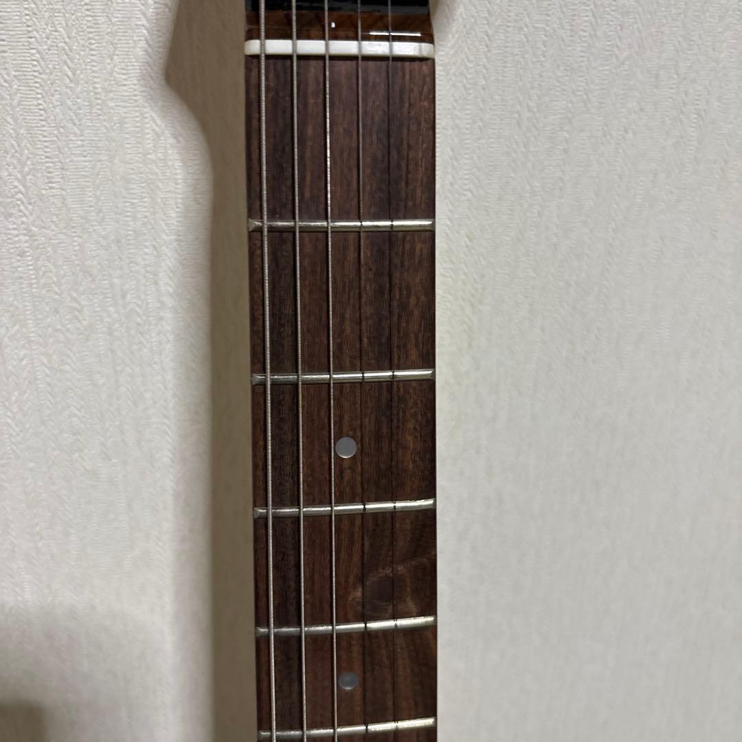 フェルナンデス エレキギター 楽器 弦 ストラップ ギター バンド 音楽