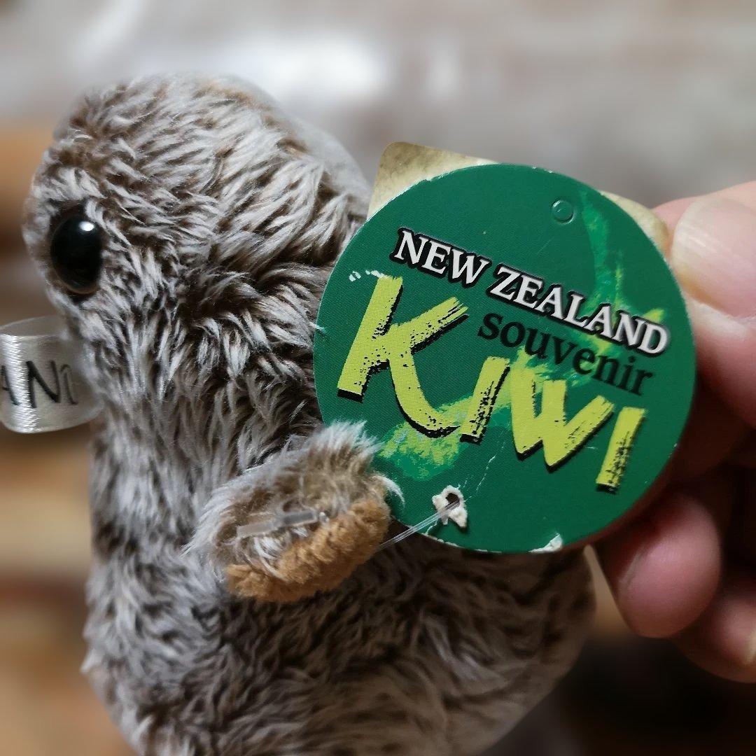 PROKIWI ニュージーランドお土産 黒鳥キウイぬいぐるみ 10センチ
